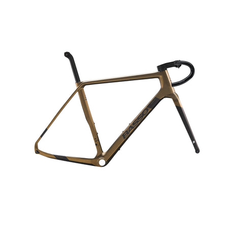 Basso Palta Disc Frameset